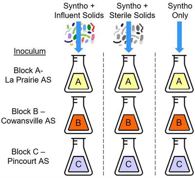 Antibiotic resistance gene sequencing is necessary to reveal the complex dynamics of immigration from sewers to activated sludge